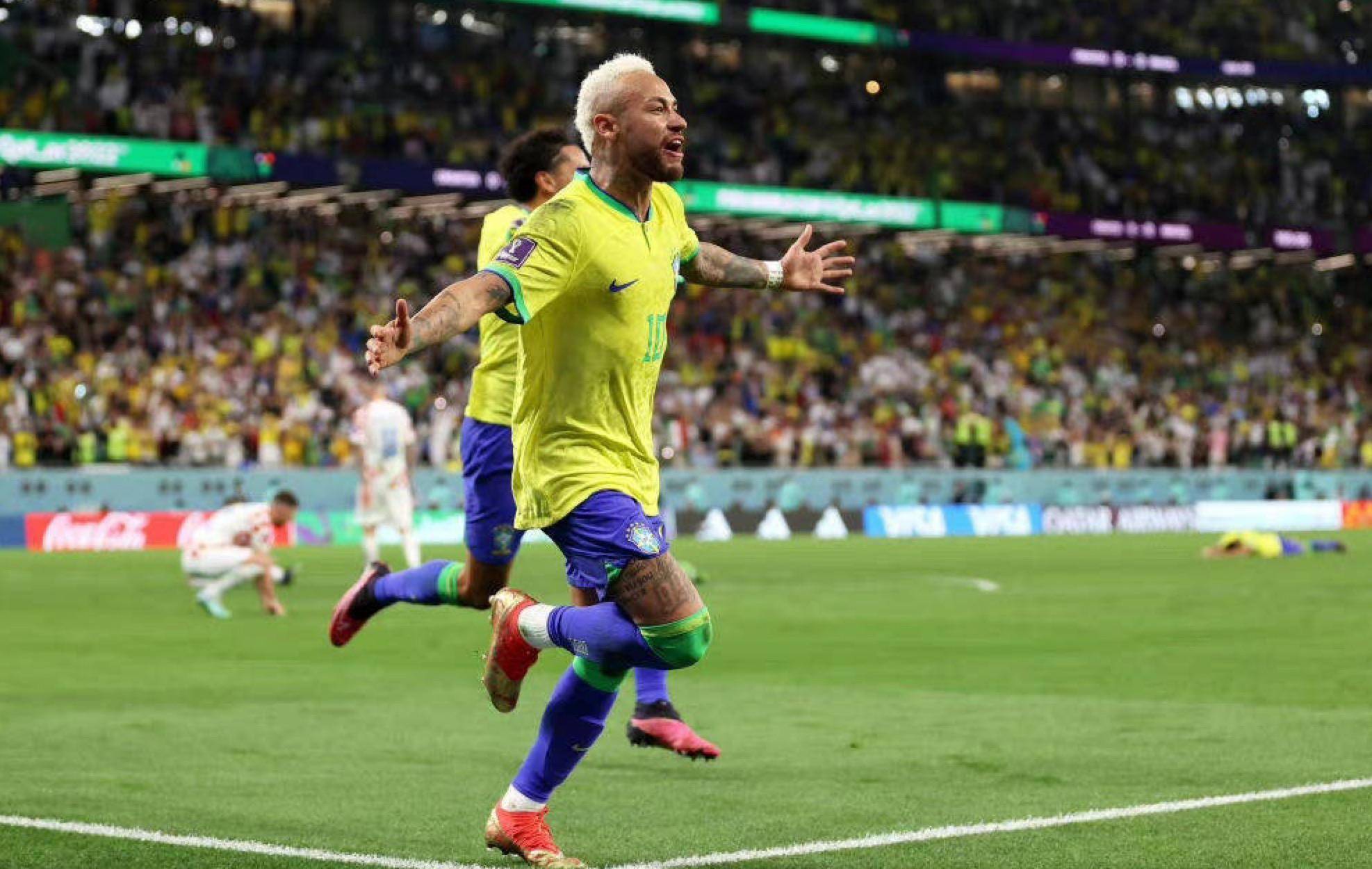 波波维奇的 波波维奇的